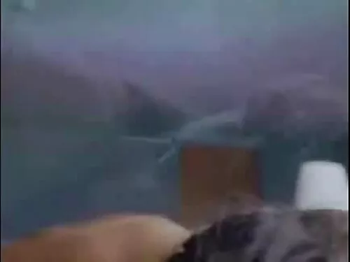 Вулгарен свещеник se ...